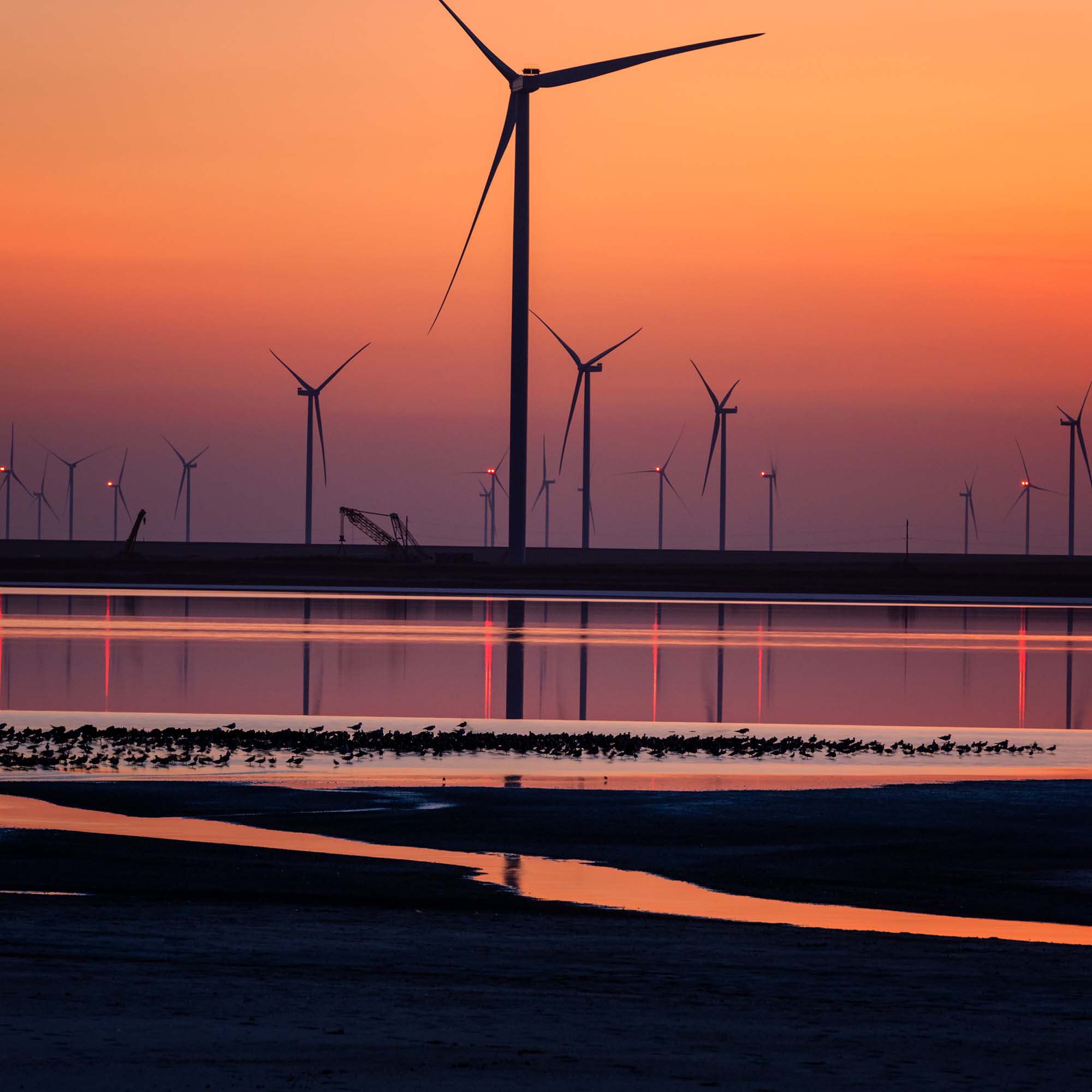 Insight - Clean Technologies - wind farm