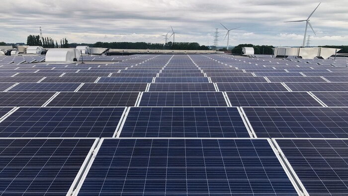 Rows of solar panels on a rooftop with wind turbines in the background.